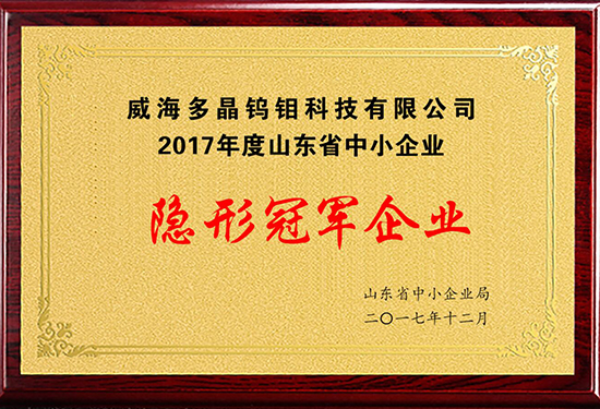 2017.12隐形冠军企业.jpg